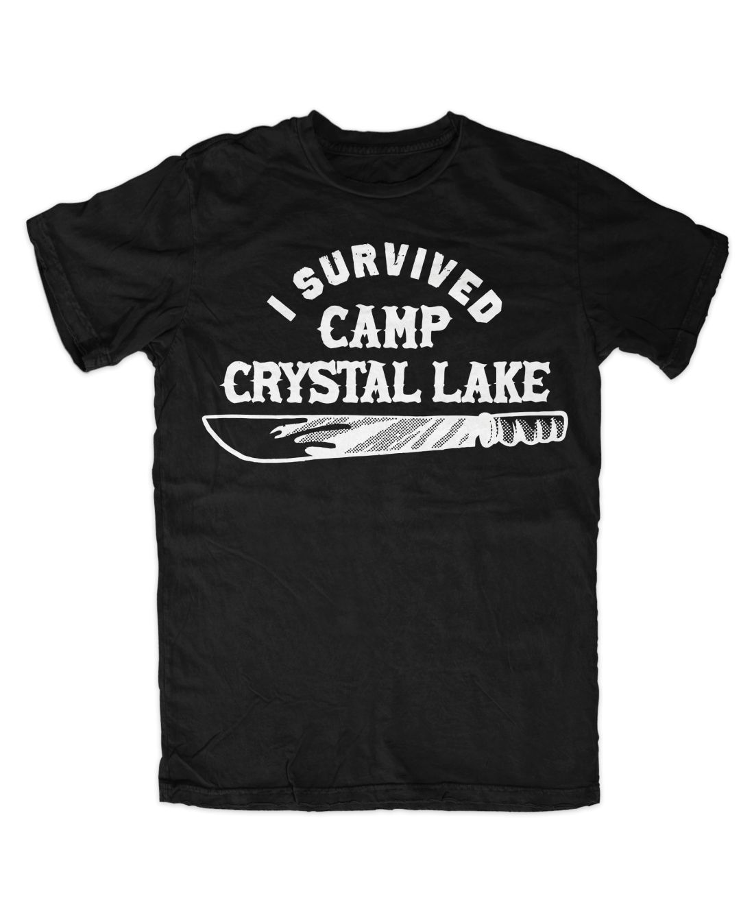 I Survived Camp Crystal Lake